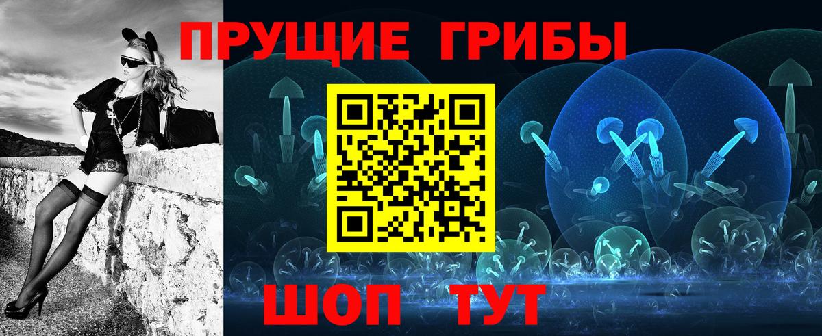 Псилоцибиновые грибы мухоморы Саратов